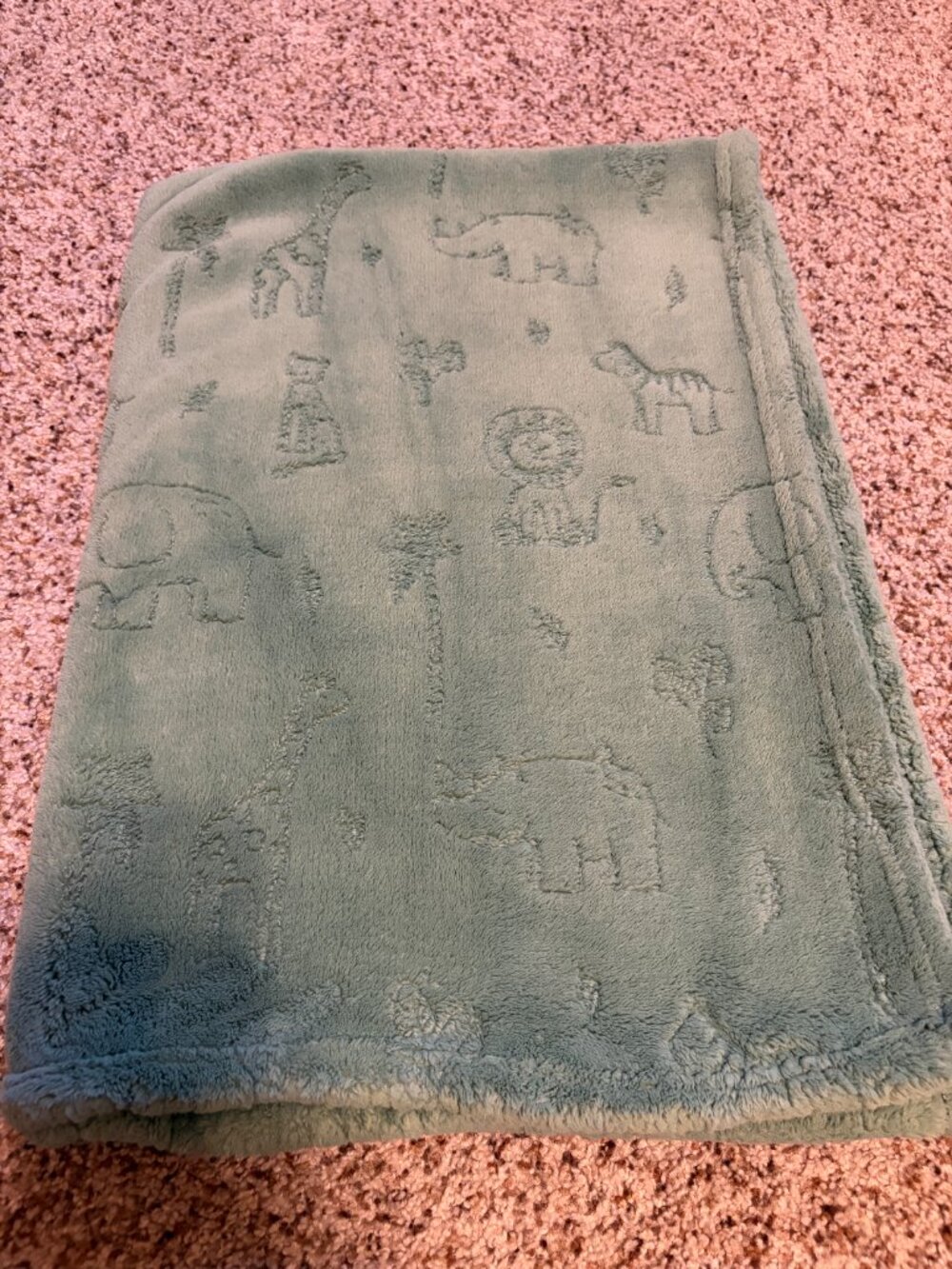 (2) Blankets - Picture 5 of 8